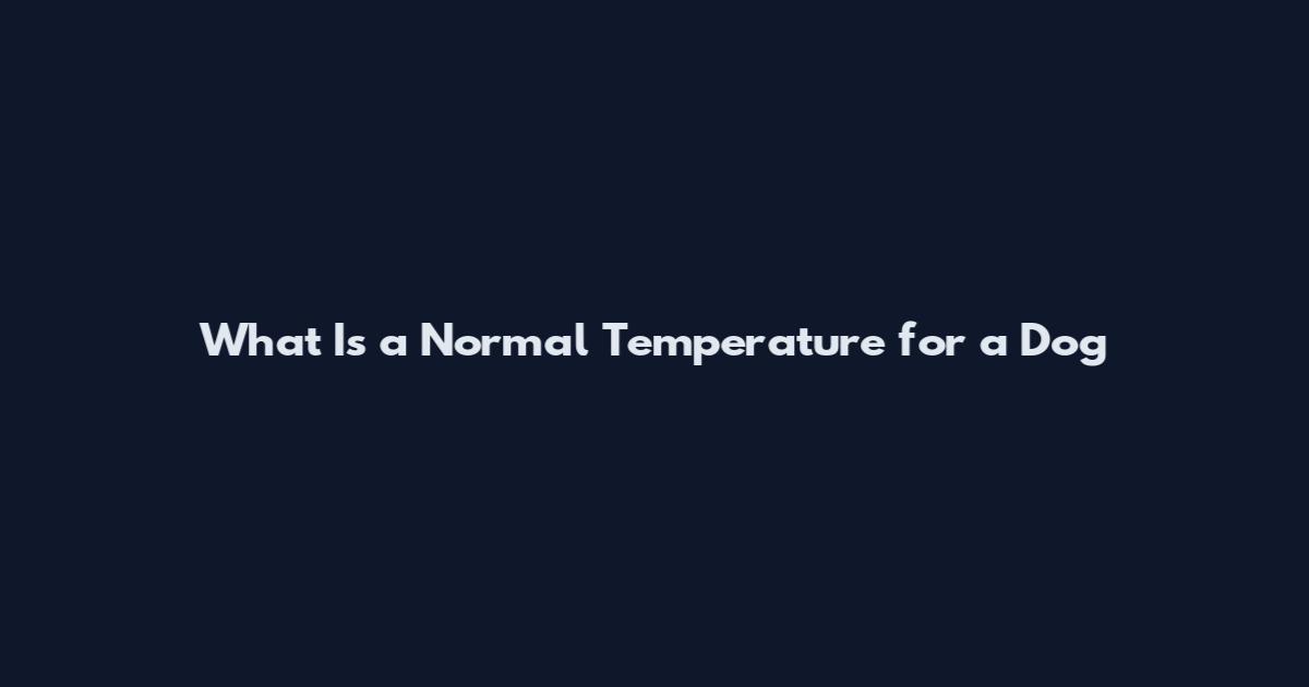 What Is a Normal Temperature for a Dog