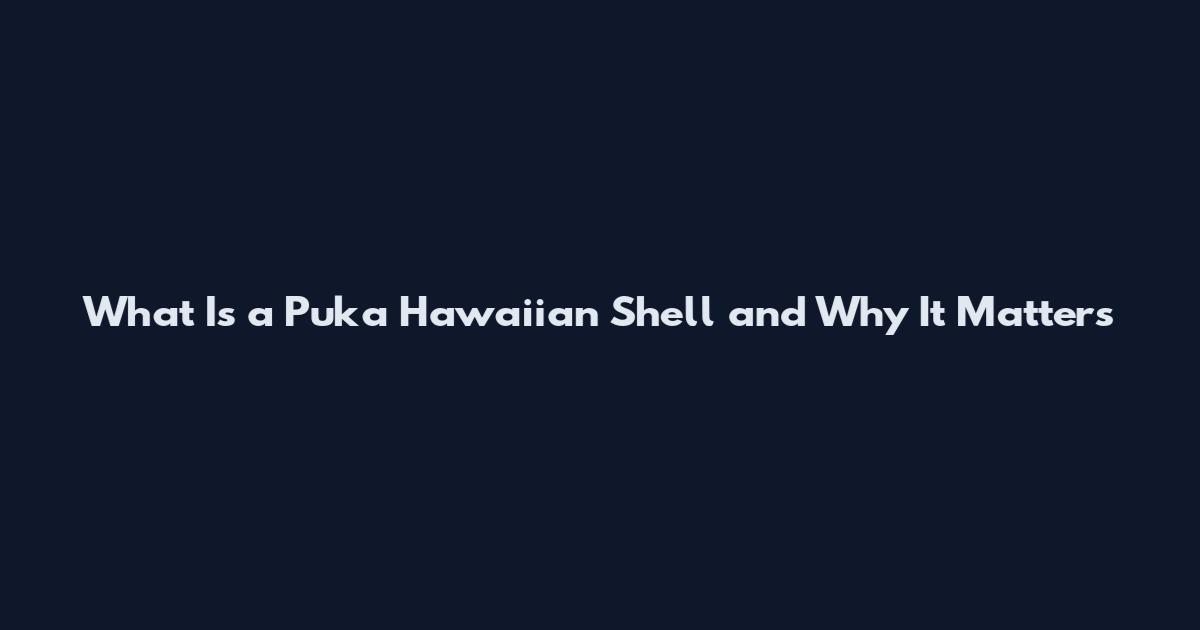 What Is a Puka Hawaiian Shell and Why It Matters