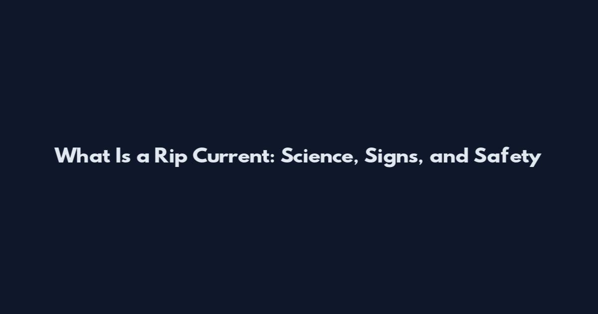 What Is a Rip Current: Science, Signs, and Safety