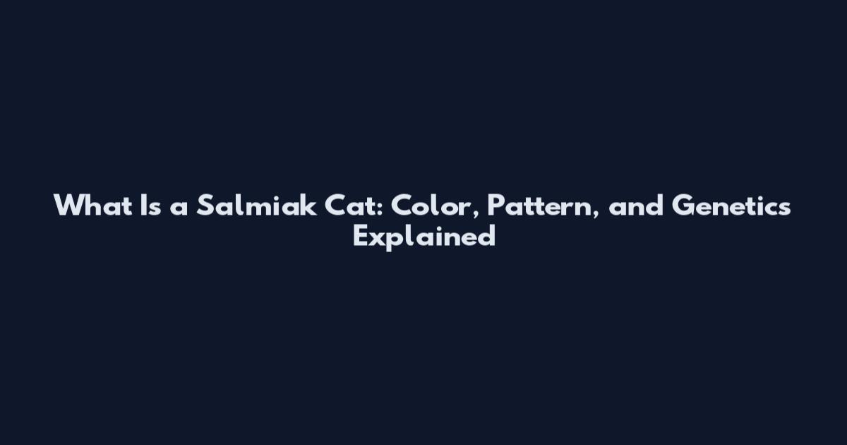 What Is a Salmiak Cat: Color, Pattern, and Genetics Explained