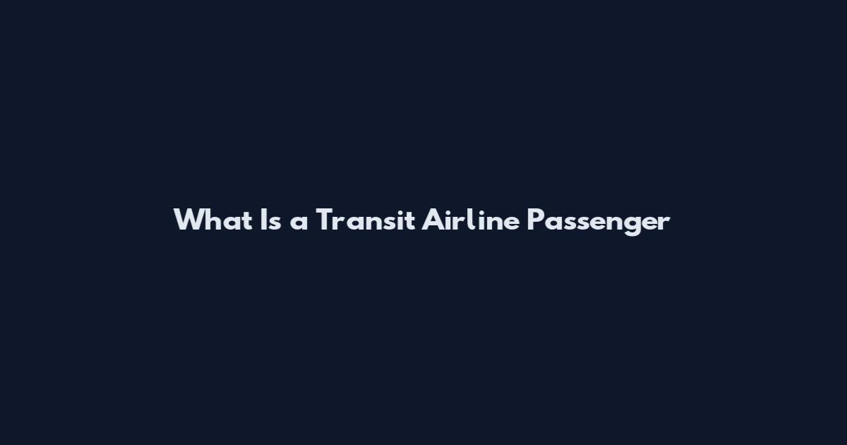 What Is a Transit Airline Passenger