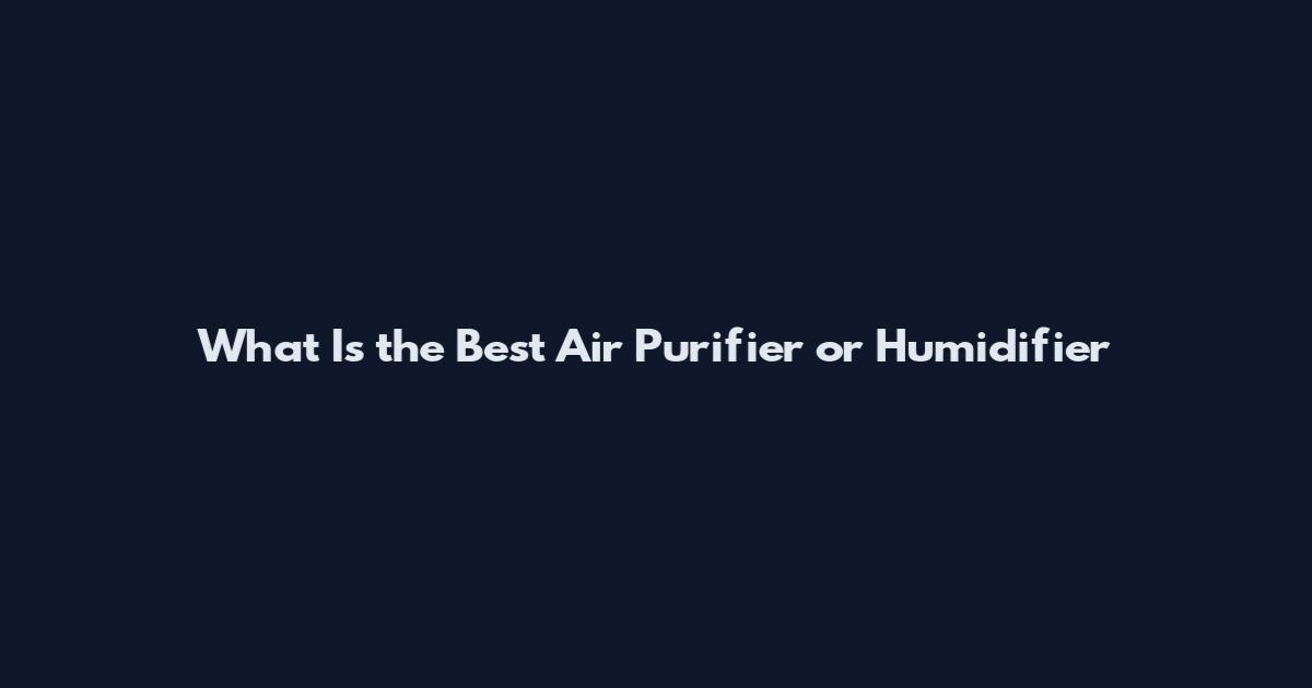 What Is the Best Air Purifier or Humidifier