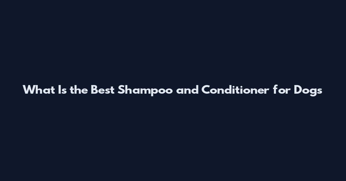 What Is the Best Shampoo and Conditioner for Dogs