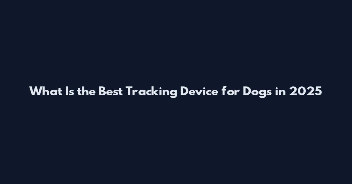 What Is the Best Tracking Device for Dogs in 2025
