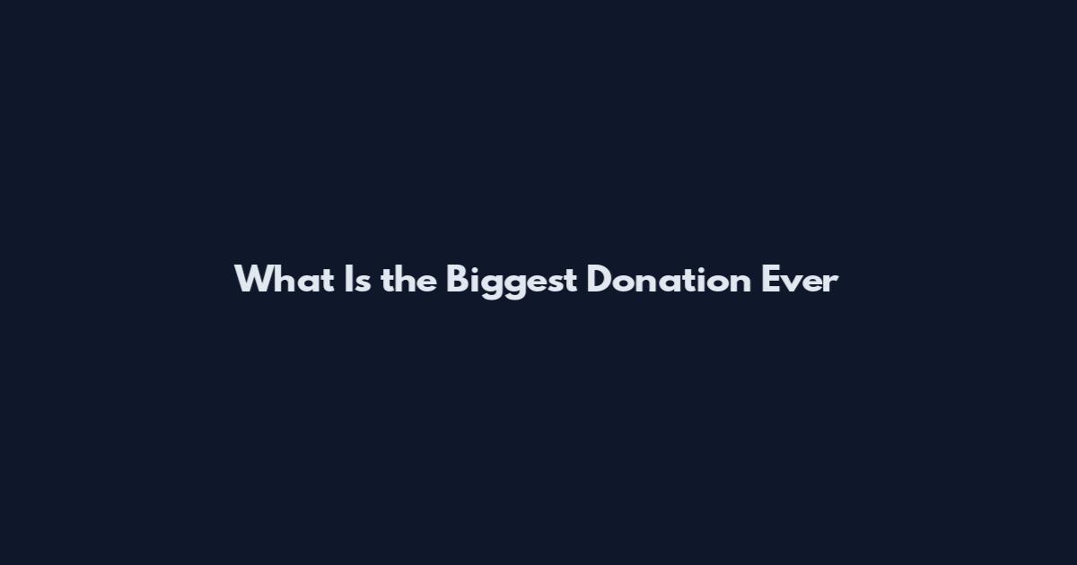 What Is the Biggest Donation Ever