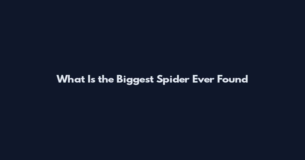 What Is the Biggest Spider Ever Found