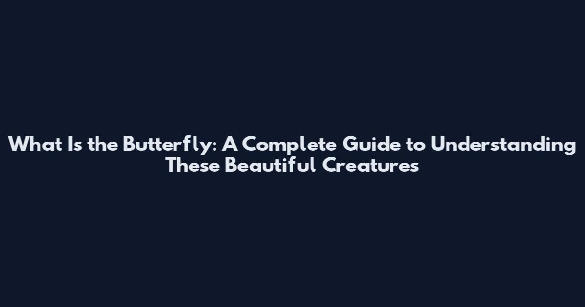 What Is the Butterfly: A Complete Guide to Understanding These Beautiful Creatures