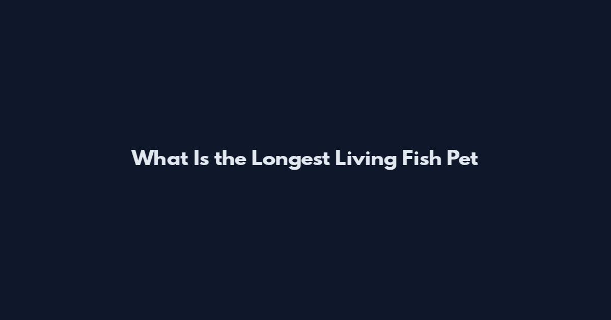 What Is the Longest Living Fish Pet