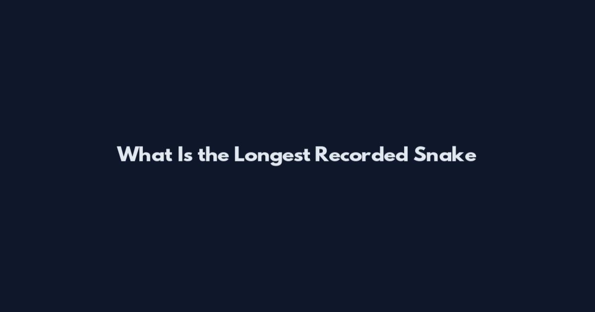 What Is the Longest Recorded Snake