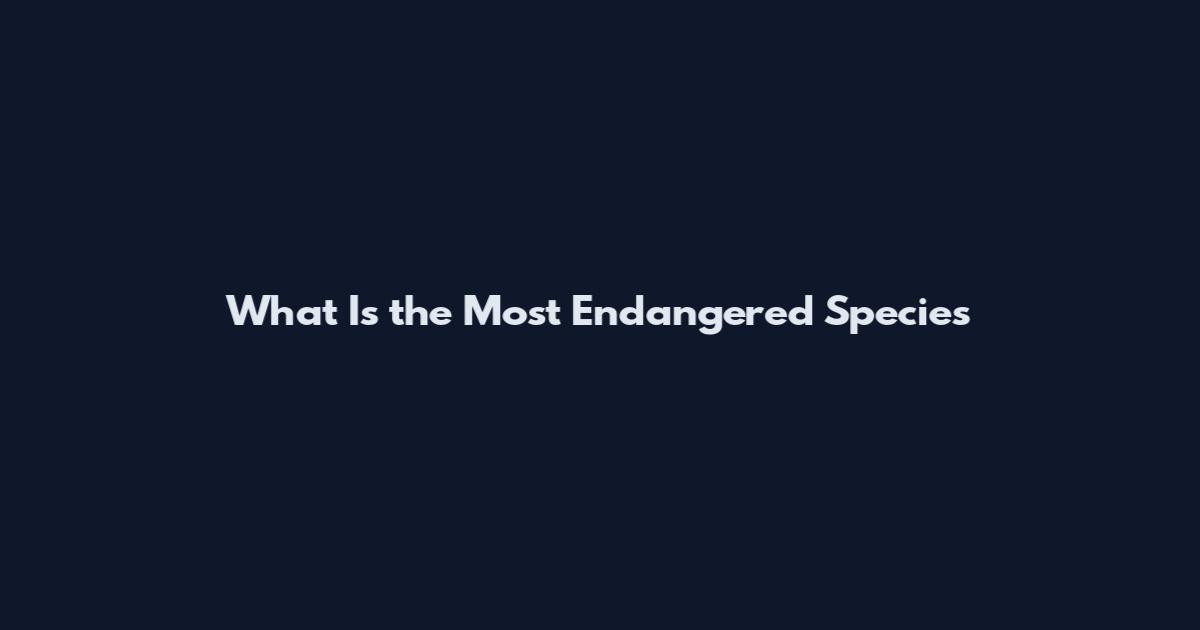What Is the Most Endangered Species