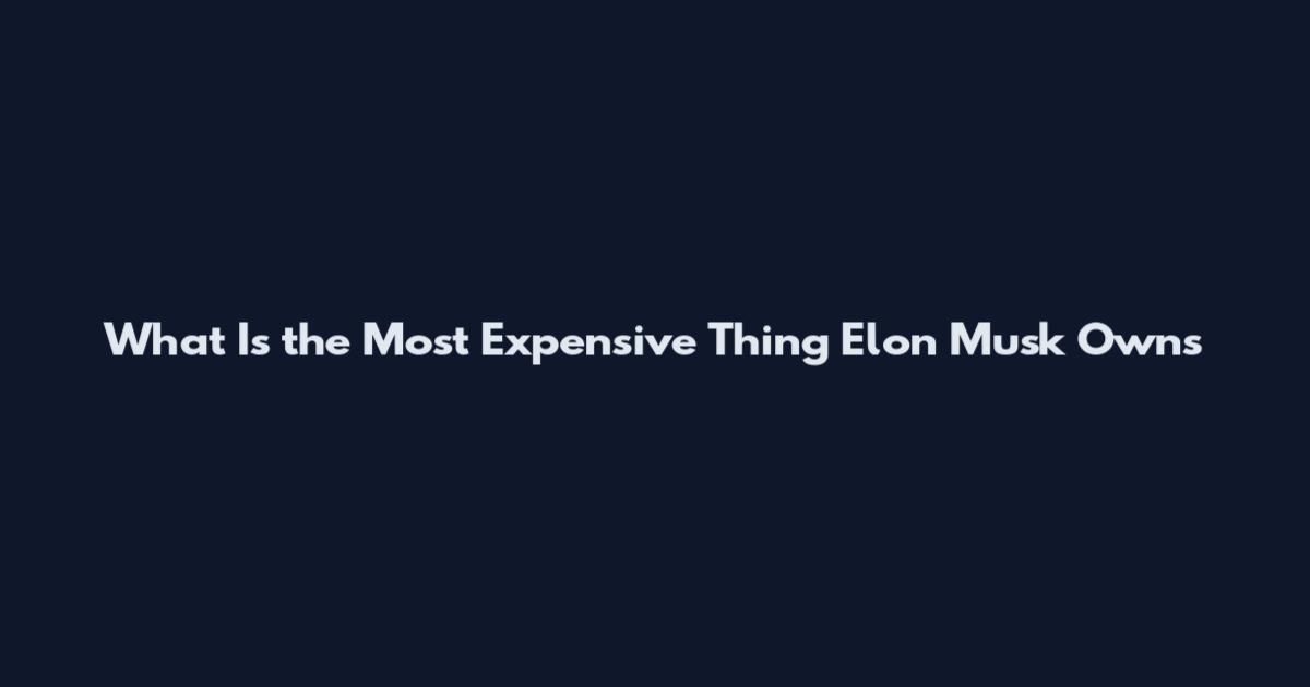 What Is the Most Expensive Thing Elon Musk Owns