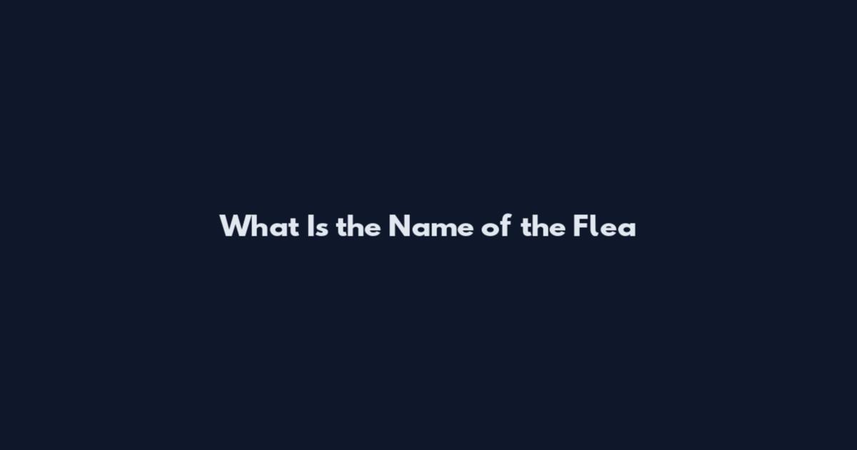 What Is the Name of the Flea