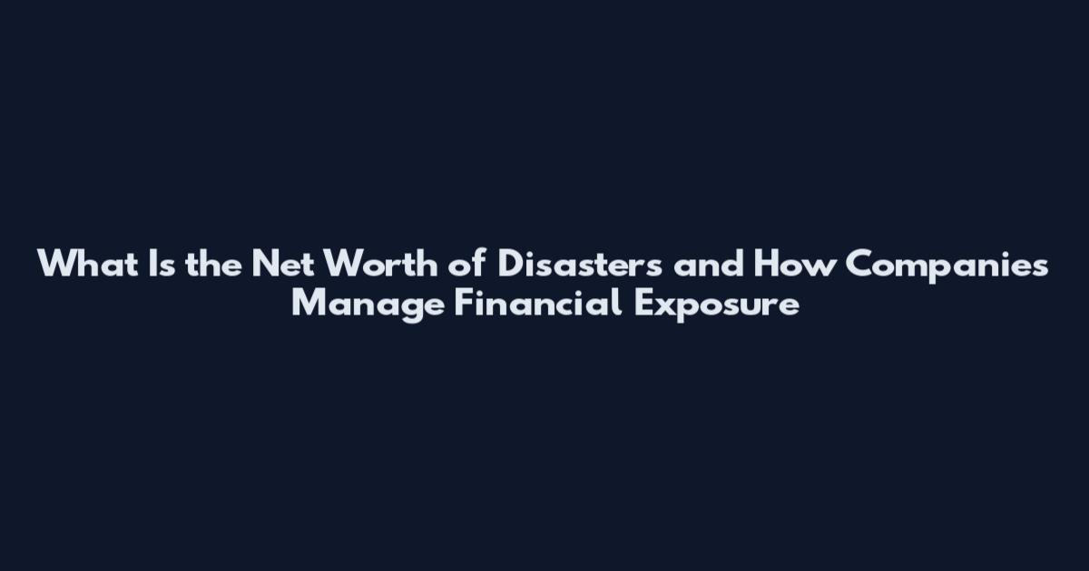 What Is the Net Worth of Disasters and How Companies Manage Financial Exposure