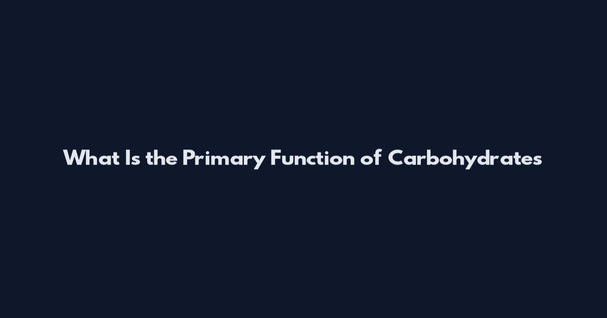 What Is the Primary Function of Carbohydrates