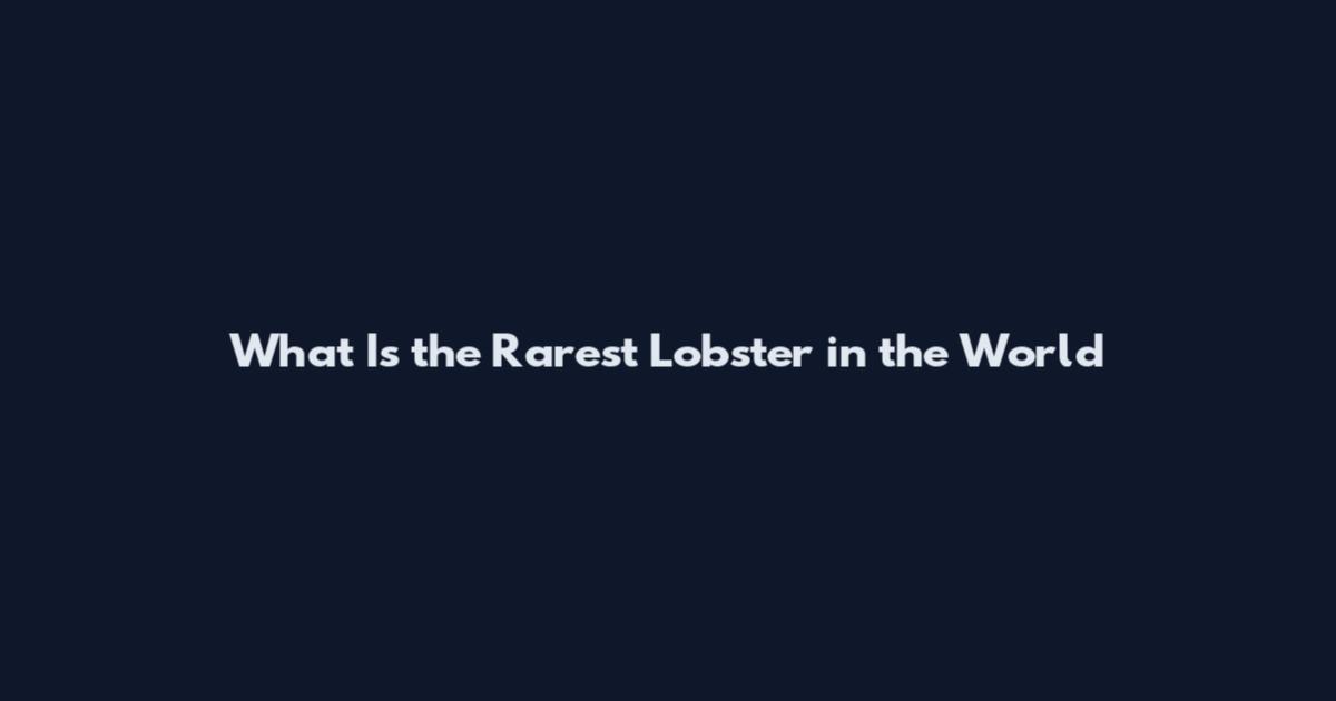 What Is the Rarest Lobster in the World