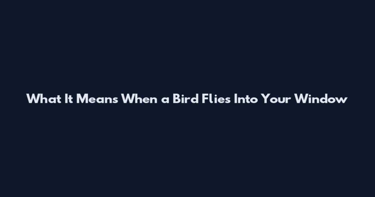 What It Means When a Bird Flies Into Your Window