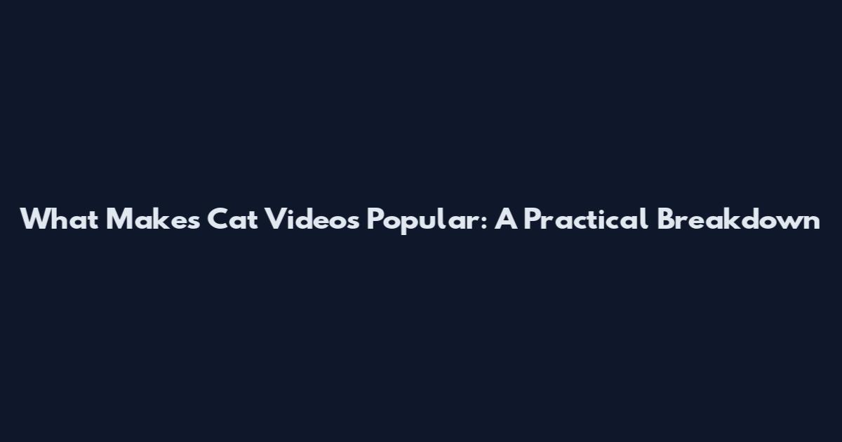 What Makes Cat Videos Popular: A Practical Breakdown