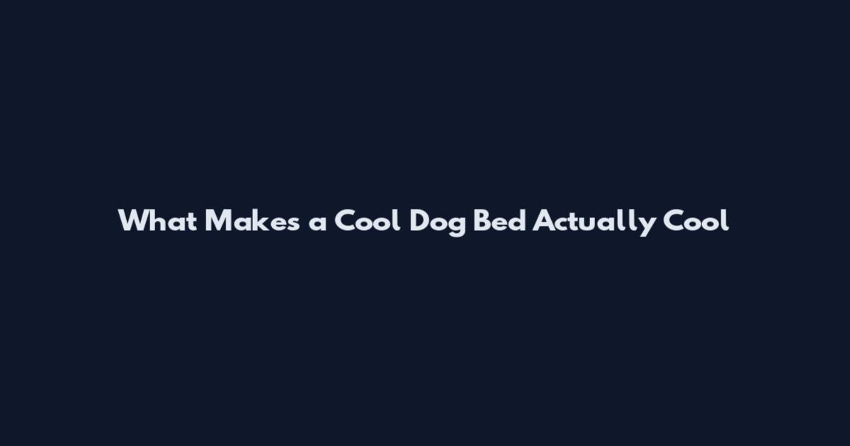 What Makes a Cool Dog Bed Actually Cool