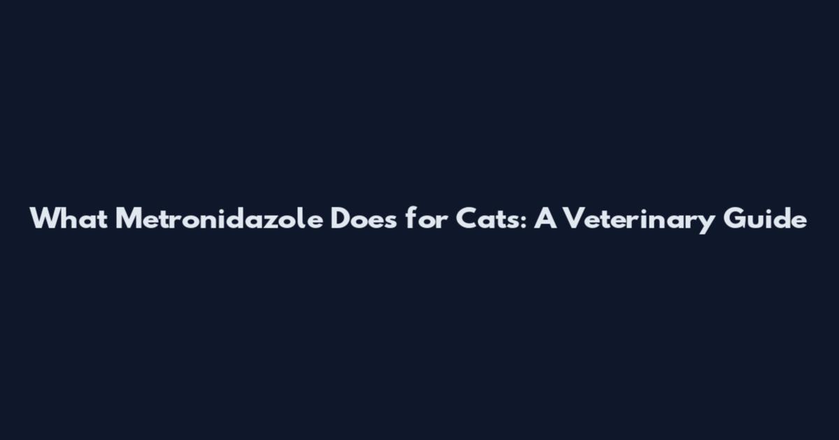 What Metronidazole Does for Cats: A Veterinary Guide