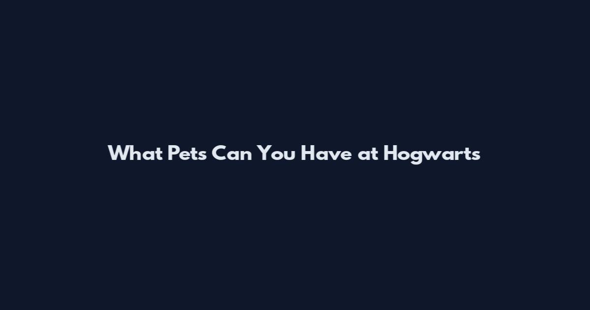 What Pets Can You Have at Hogwarts