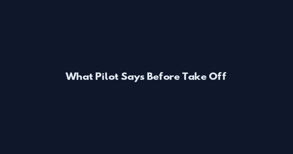 What Pilot Says Before Take Off