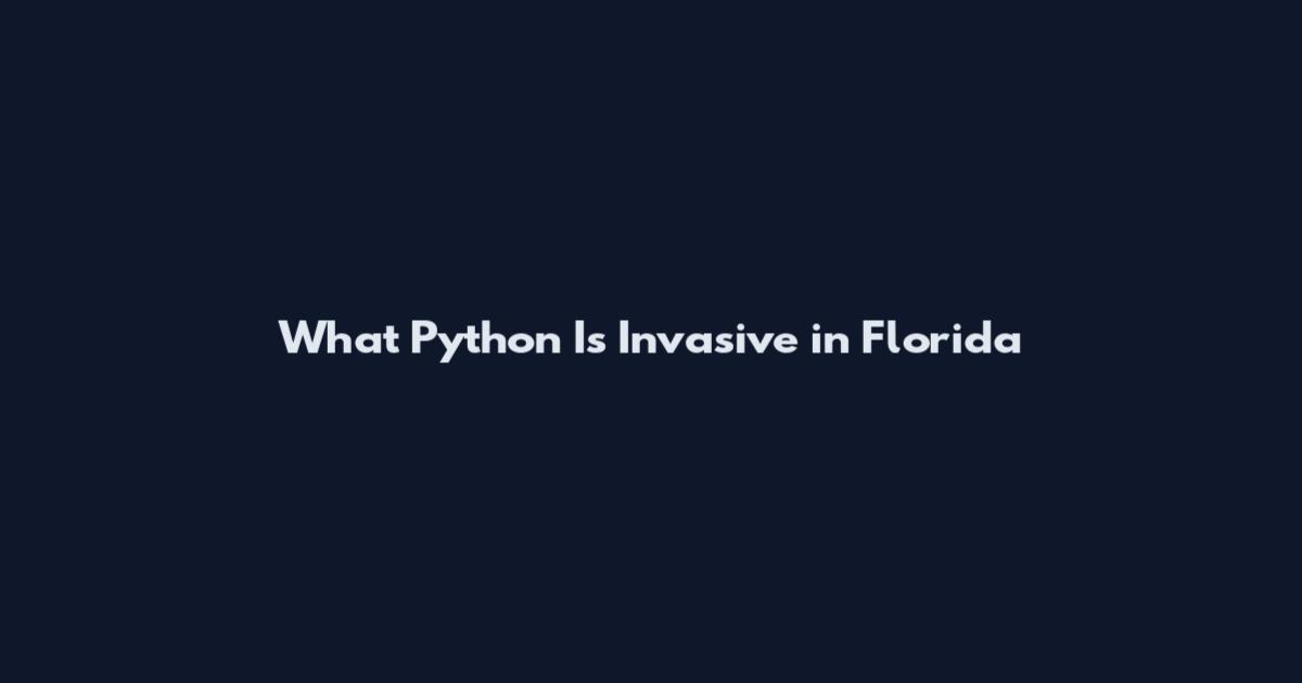 What Python Is Invasive in Florida