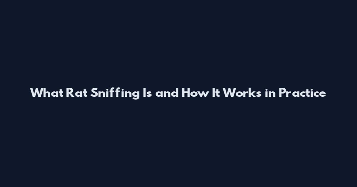 What Rat Sniffing Is and How It Works in Practice