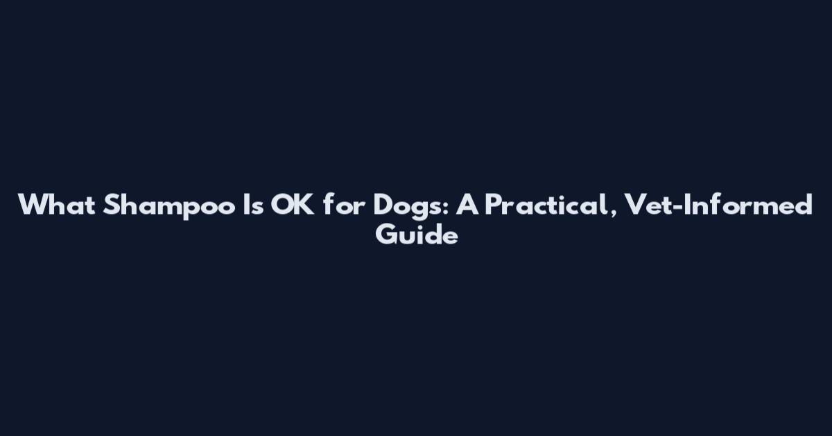 What Shampoo Is OK for Dogs: A Practical, Vet-Informed Guide