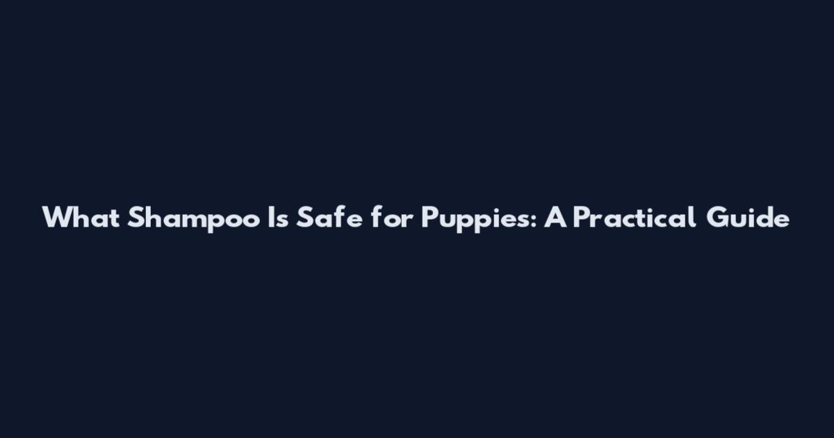 What Shampoo Is Safe for Puppies: A Practical Guide