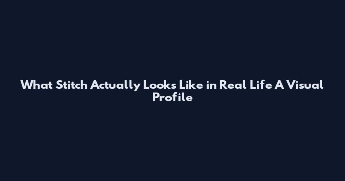 What Stitch Actually Looks Like in Real Life A Visual Profile