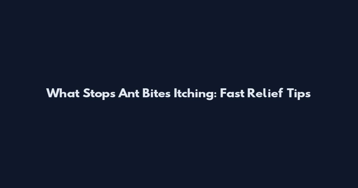 What Stops Ant Bites Itching: Fast Relief Tips