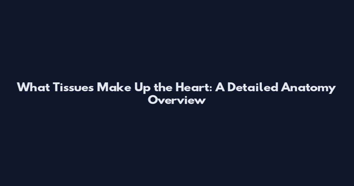 What Tissues Make Up the Heart: A Detailed Anatomy Overview