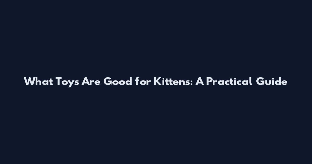 What Toys Are Good for Kittens: A Practical Guide