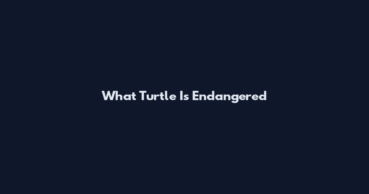 What Turtle Is Endangered