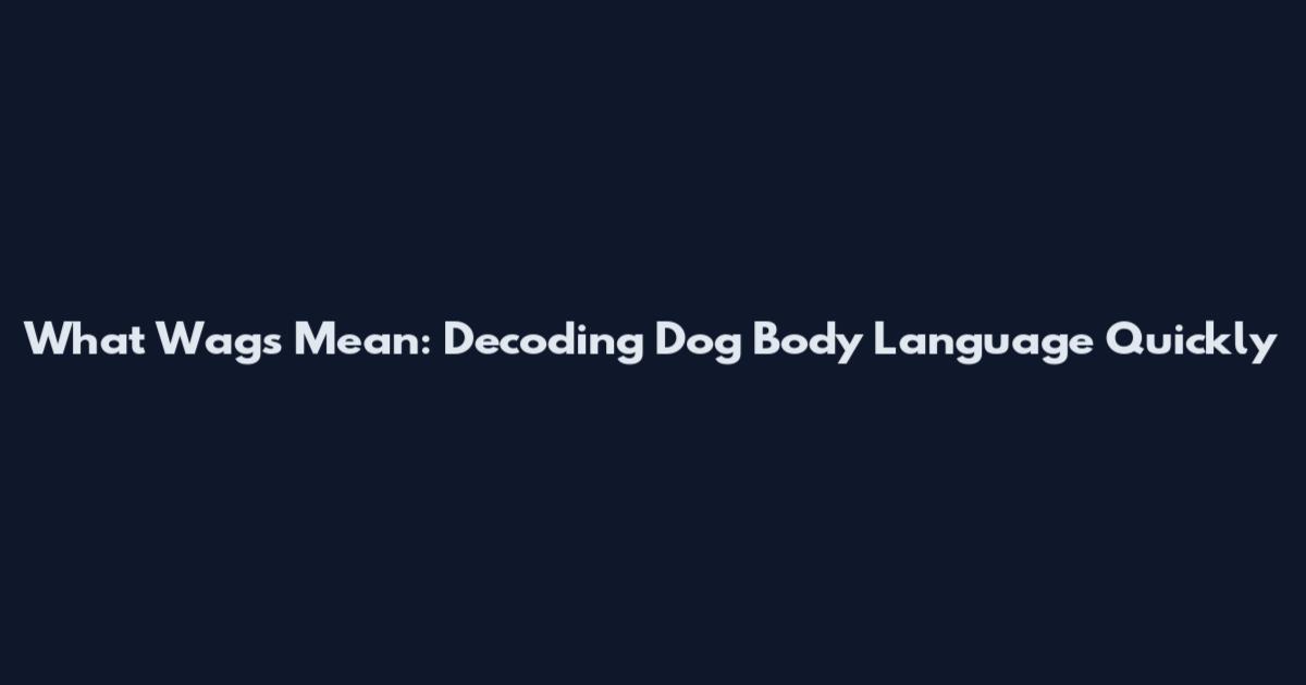 What Wags Mean: Decoding Dog Body Language Quickly