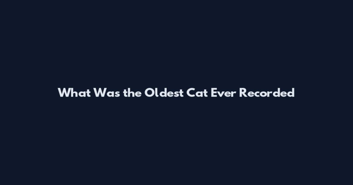 What Was the Oldest Cat Ever Recorded
