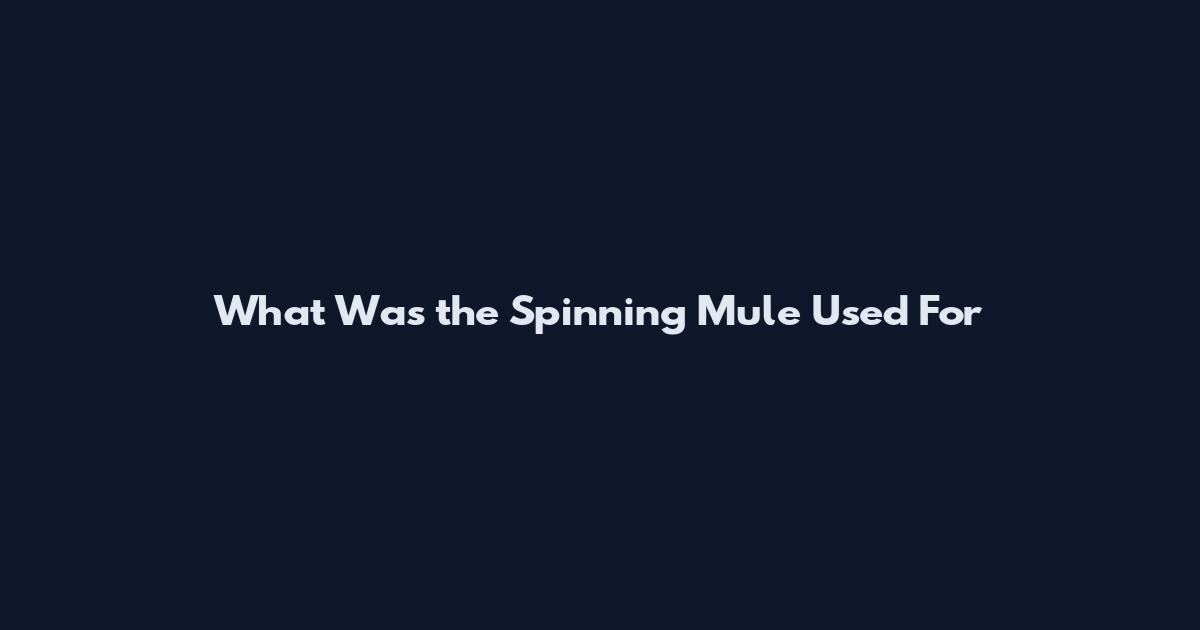What Was the Spinning Mule Used For