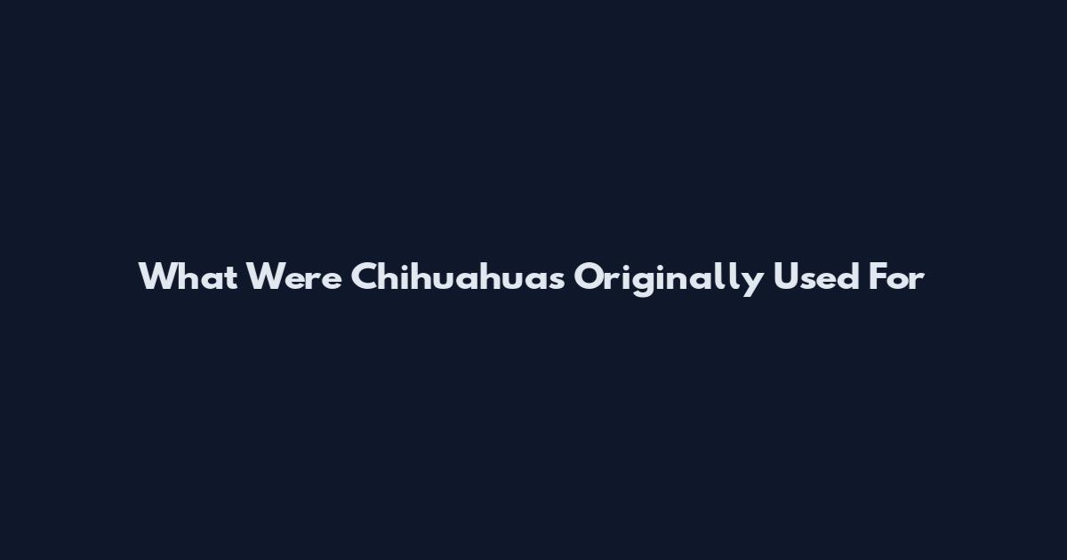 What Were Chihuahuas Originally Used For