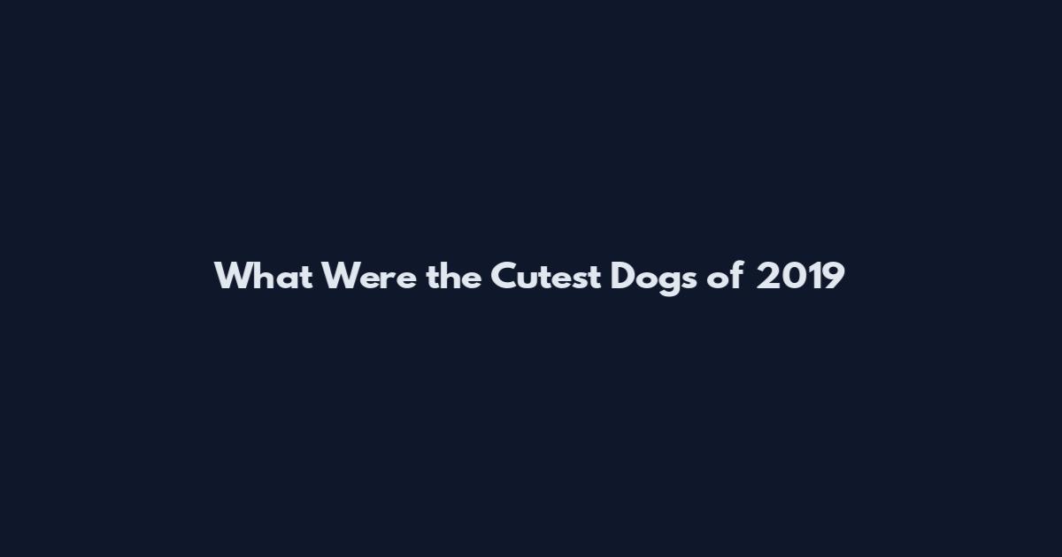 What Were the Cutest Dogs of 2019