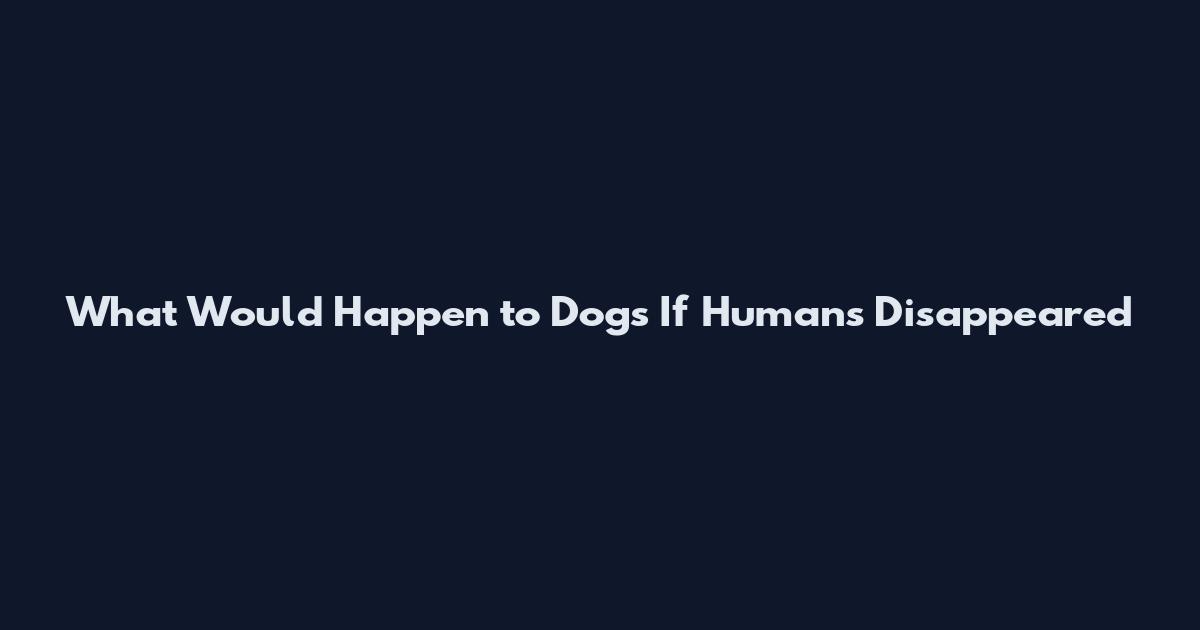 What Would Happen to Dogs If Humans Disappeared