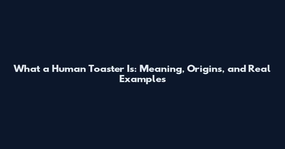 What a Human Toaster Is: Meaning, Origins, and Real Examples