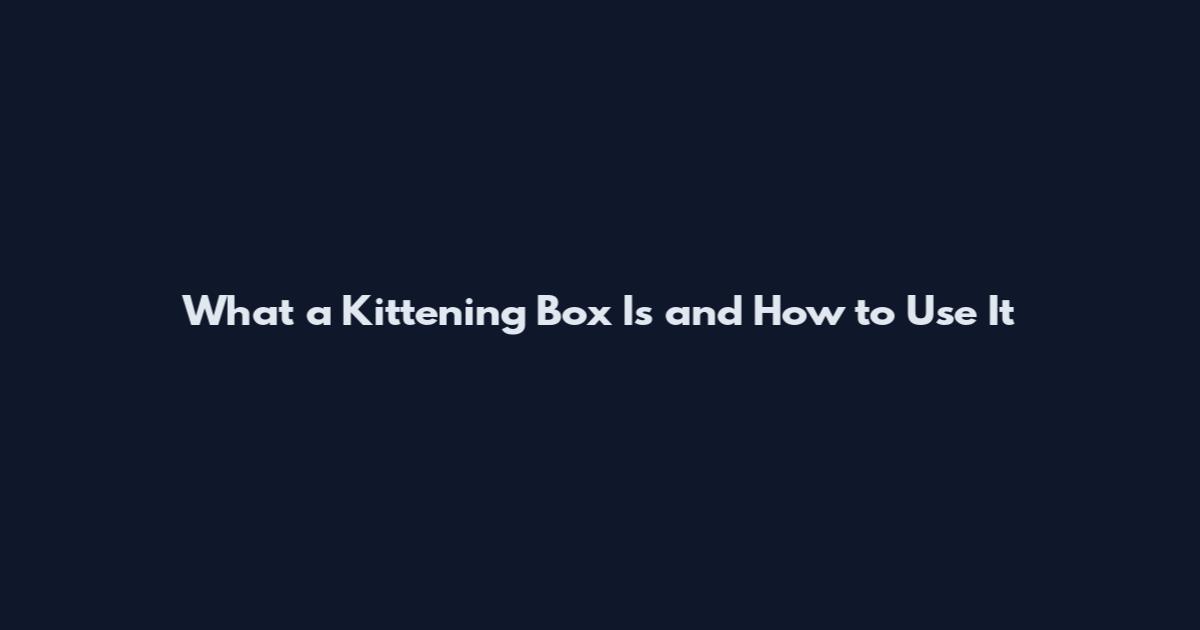 What a Kittening Box Is and How to Use It
