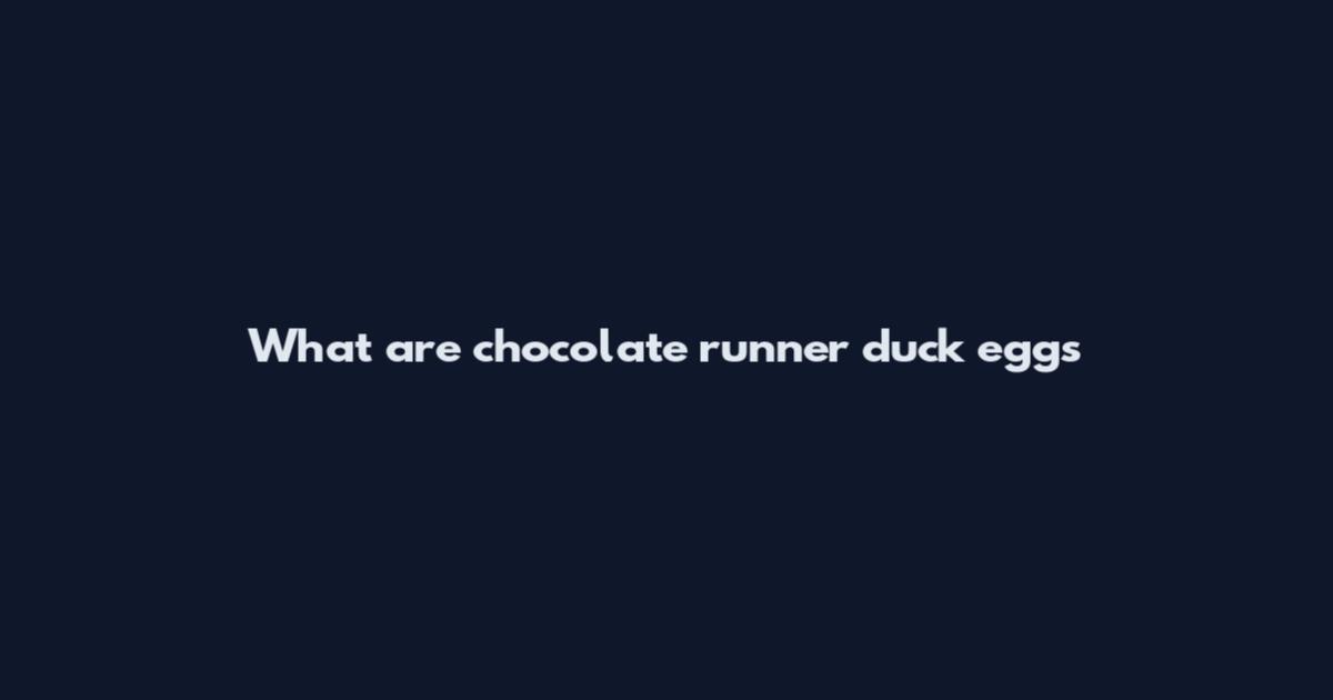 What are chocolate runner duck eggs