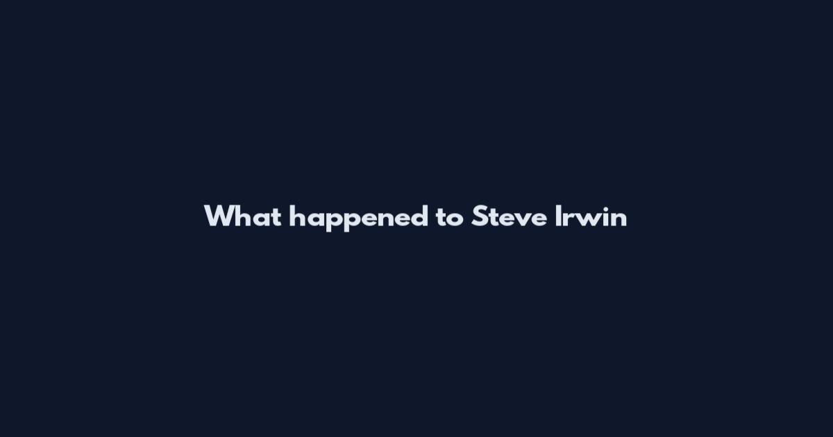 What happened to Steve Irwin