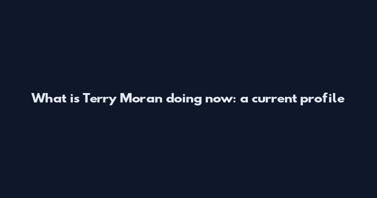 What is Terry Moran doing now: a current profile