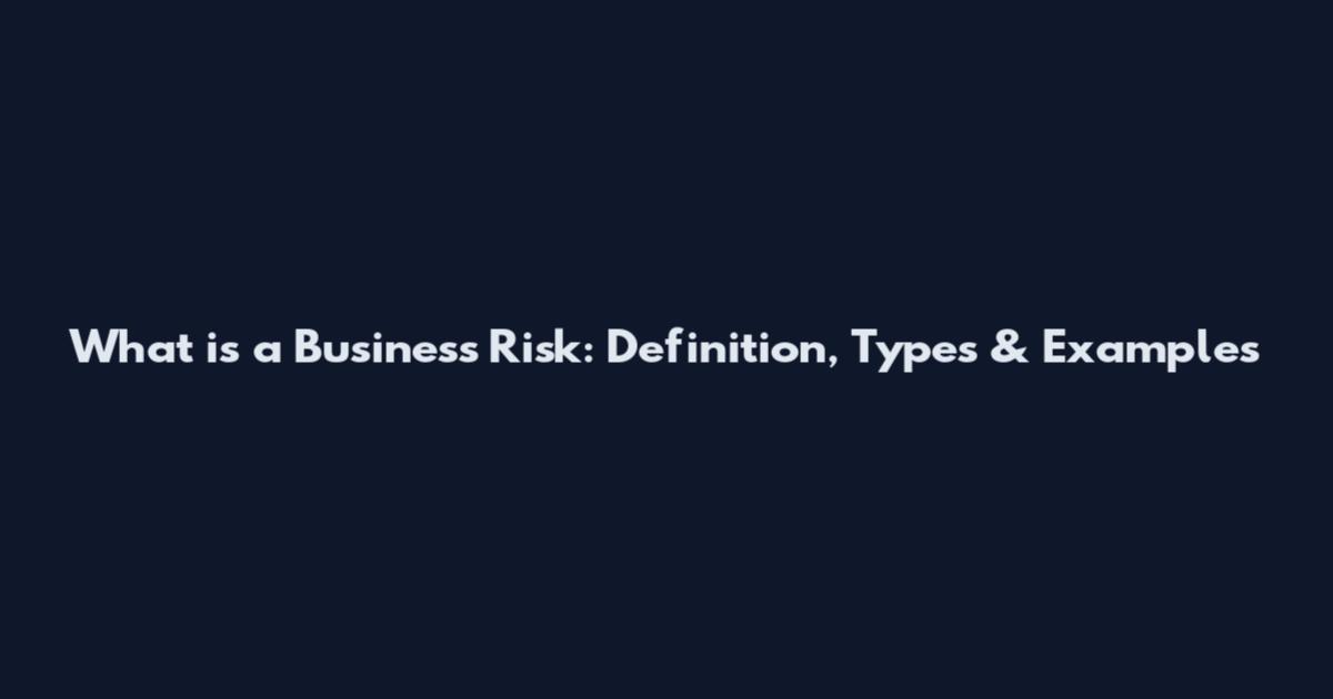 What is a Business Risk: Definition, Types & Examples