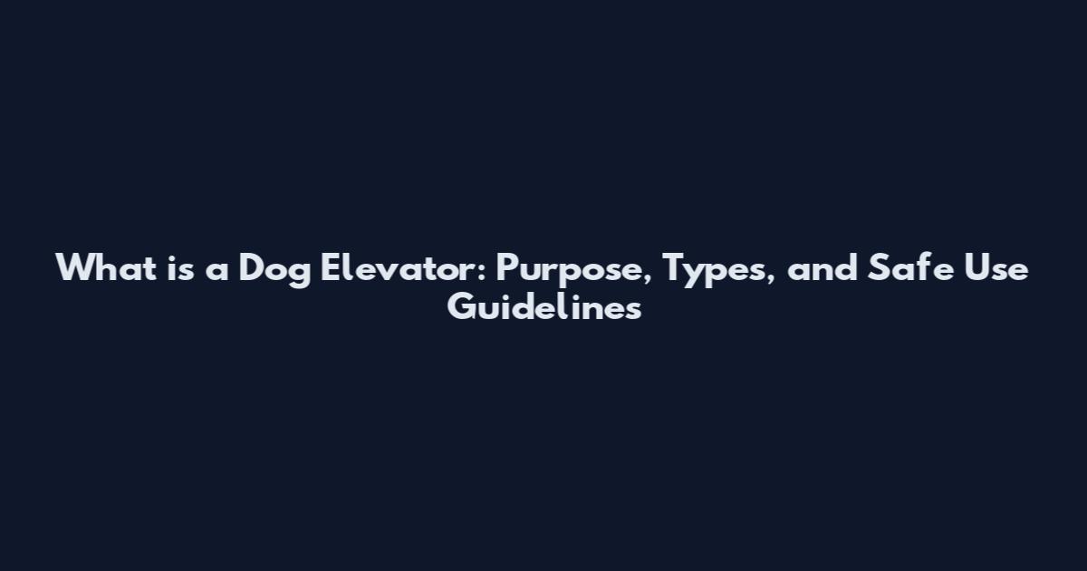 What is a Dog Elevator: Purpose, Types, and Safe Use Guidelines