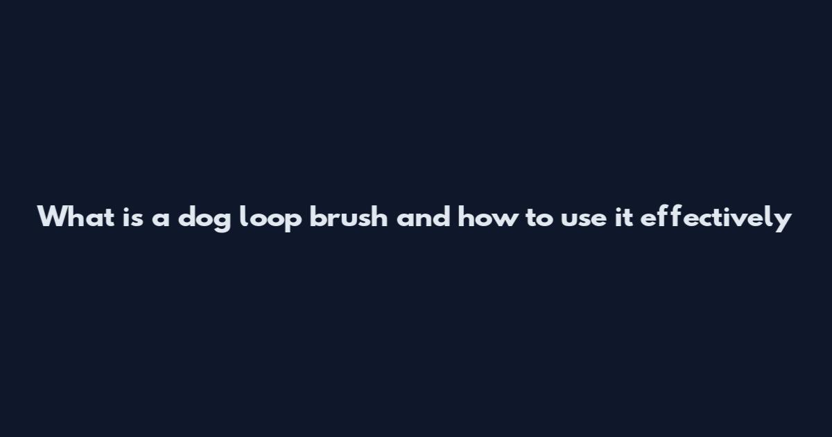 What is a dog loop brush and how to use it effectively