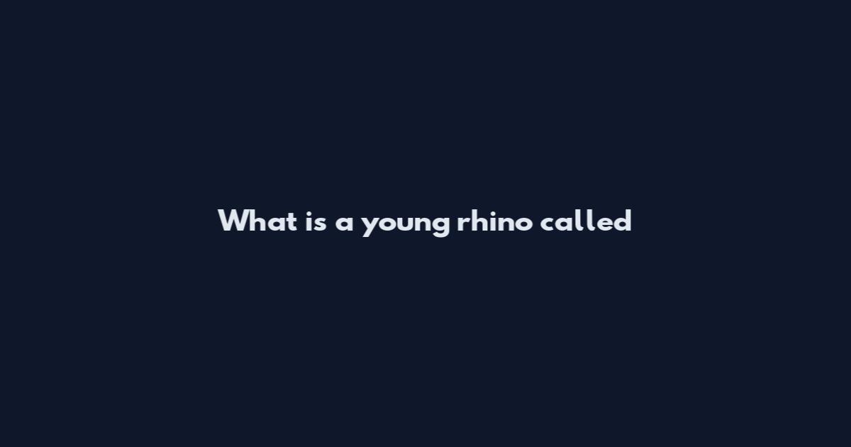 What is a young rhino called