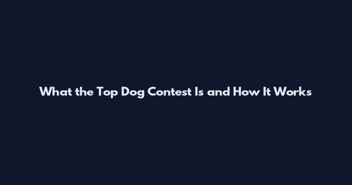 What the Top Dog Contest Is and How It Works